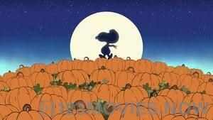 It’s the Great Pumpkin, Charlie Brown