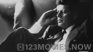 JFK Revisited: Through The Looking Glass