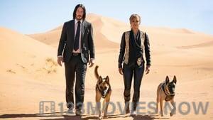 John Wick: Chapter 3 – Parabellum