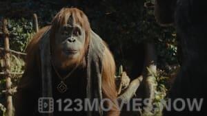 Kingdom of the Planet of the Apes