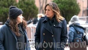 Law & Order: Special Victims Unit Season 22 Episode 7