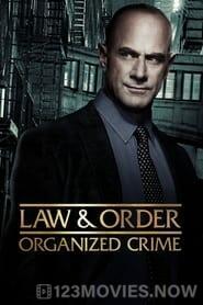 Law & Order: Organized Crime Season 4 Episode 10