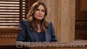 Law & Order: Special Victims Unit Season 23 Episode 22