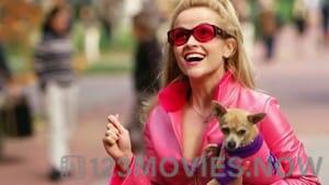 Legally Blonde