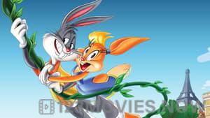 Looney Tunes: Rabbits Run