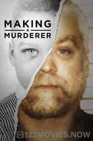 Making a Murderer Season 1 Episode 1