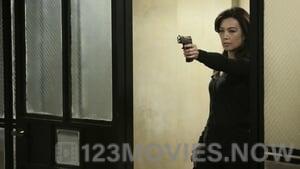 Marvel’s Agents of S.H.I.E.L.D. Season 2 Episode 15