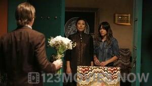 Marvel’s Agents of S.H.I.E.L.D. Season 2 Episode 17