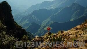 Mexico: Earth’s Festival of Life