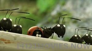 Minuscule: Valley of the Lost Ants