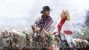 Mistletoe in Montana