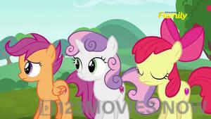 My Little Pony: Friendship Is Magic Season 6 Episode 14