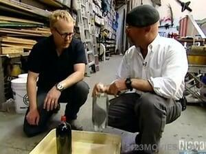 MythBusters Season 4 Episode 14