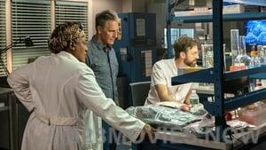 NCIS: New Orleans Season 6 Episode 5