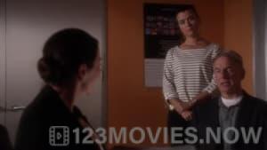 NCIS Season 10 Episode 21