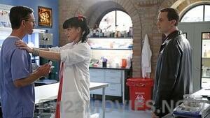 NCIS Season 12 Episode 13