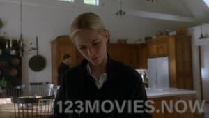 NCIS Season 12 Episode 13