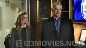 NCIS Season 14 Episode 14