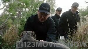 NCIS Season 18 Episode 10