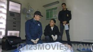 NCIS Season 19 Episode 14