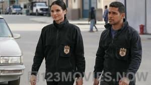 NCIS Season 20 Episode 14