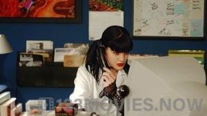 NCIS Season 4 Episode 9