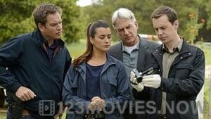 NCIS Season 9 Episode 24