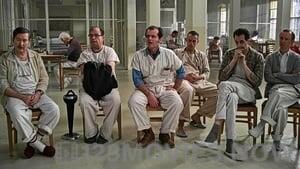 One Flew Over the Cuckoo’s Nest