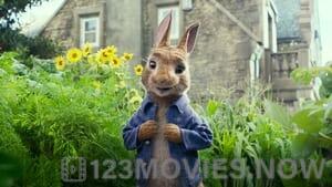 Peter Rabbit