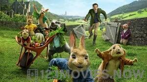 Peter Rabbit