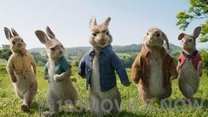 Peter Rabbit