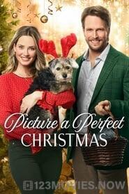 Picture a Perfect Christmas