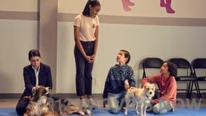 Puppy Place Season 1 Episode 3