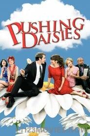 Pushing Daisies Season 1 Episode 2