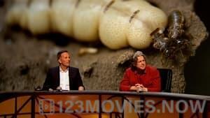 QI Season 17 Episode 14