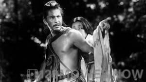 Rashomon