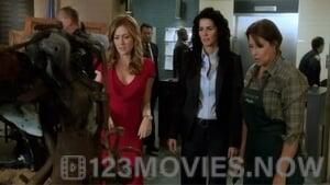 Rizzoli & Isles Season 3 Episode 3