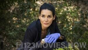 Rizzoli & Isles Season 7 Episode 9