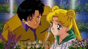 Sailor Moon R the Movie: The Promise of the Rose