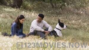 Seven Pounds