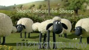 Shaun the Sheep Season 1 Episode 15