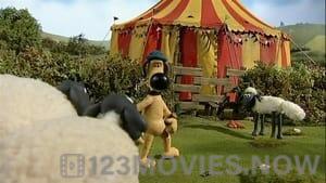 Shaun the Sheep Season 1 Episode 16