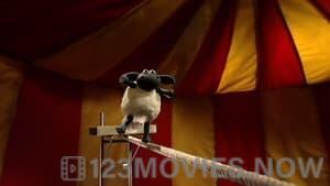 Shaun the Sheep Season 1 Episode 16