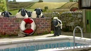 Shaun the Sheep Season 1 Episode 2