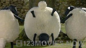 Shaun the Sheep Season 1 Episode 28