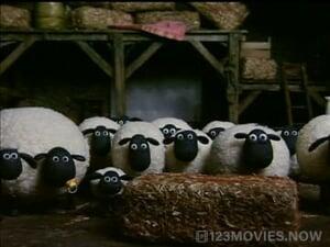 Shaun the Sheep Season 1 Episode 35