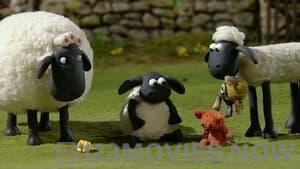 Shaun the Sheep Season 1 Episode 4