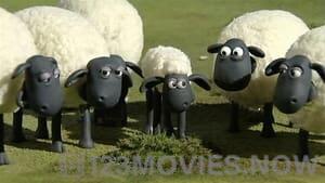 Shaun the Sheep Season 1 Episode 8