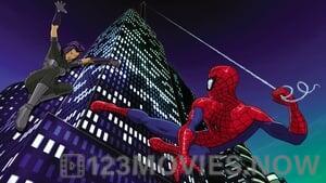 Spider-Man: The New Animated Series