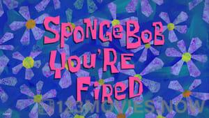 SpongeBob SquarePants Season 9 Episode 13